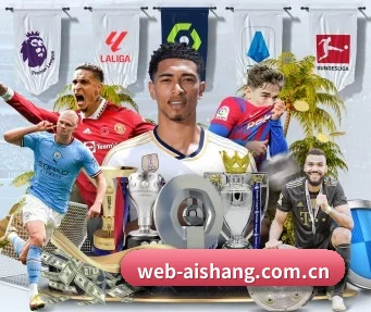 艾尚体育 APP